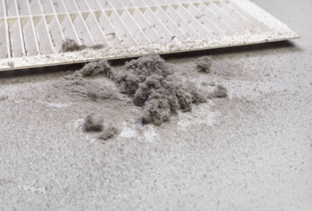 Best Air Duct Cleaning Company Near Me  in Springville, UT