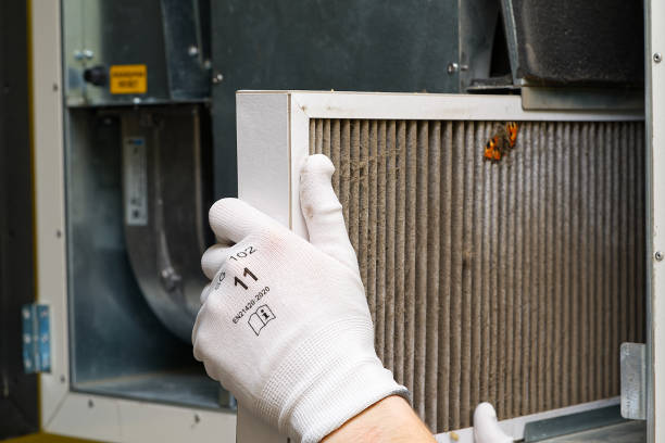 Best Local Air Duct Cleaning Services  in Springville, UT