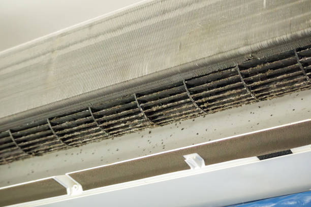 Best HVAC System Cleaning  in Springville, UT